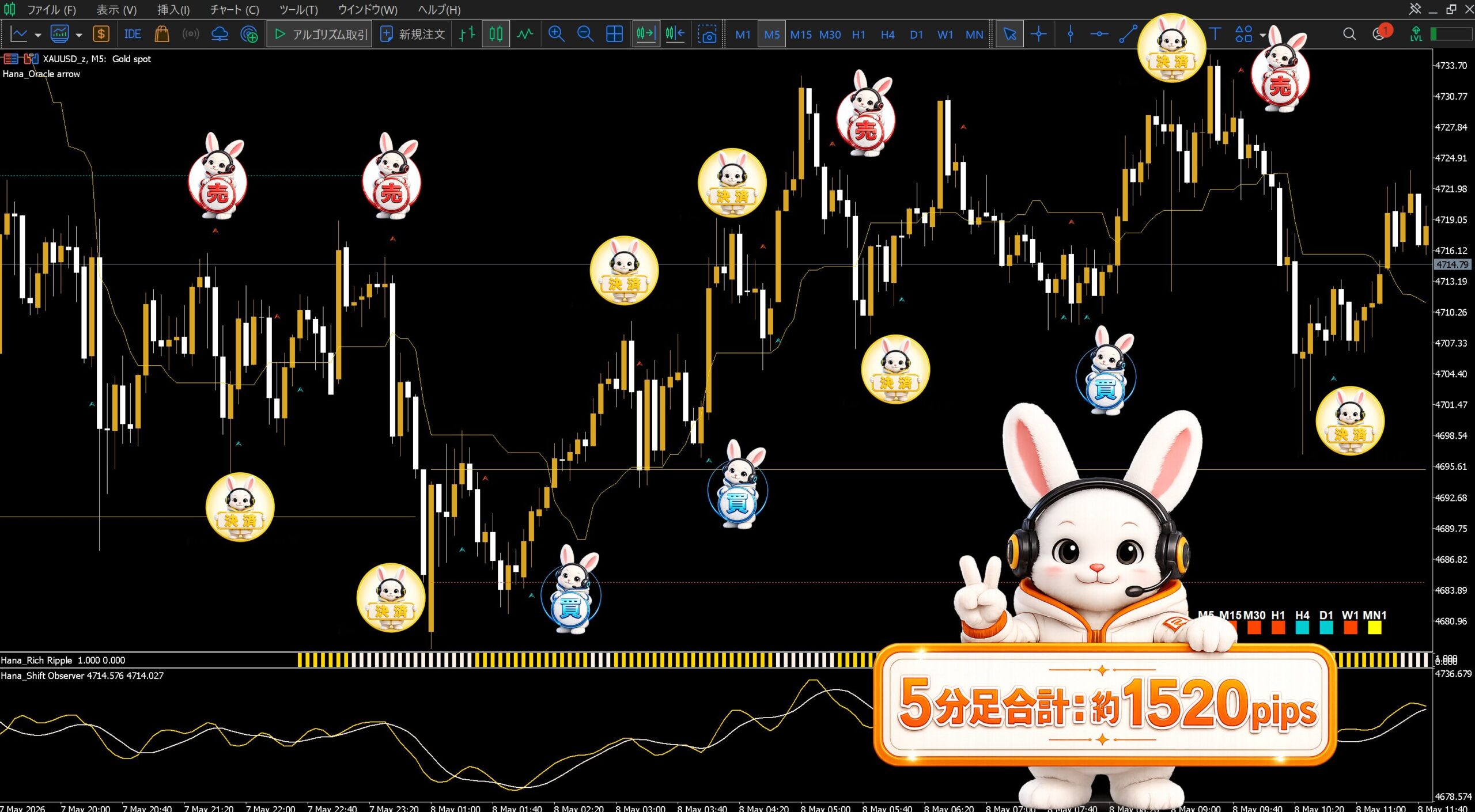 5分足チャート実績例